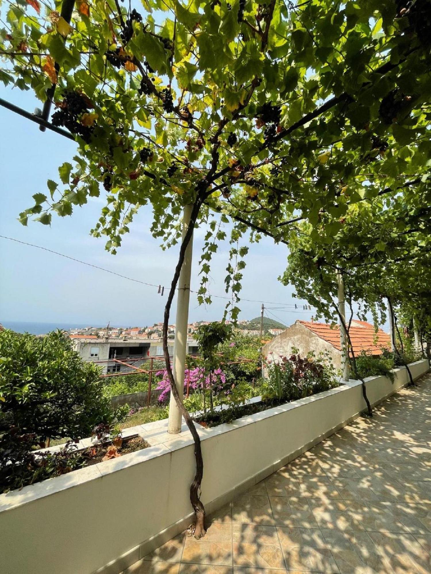 Guest House Luce Dubrovnik Bagian luar foto